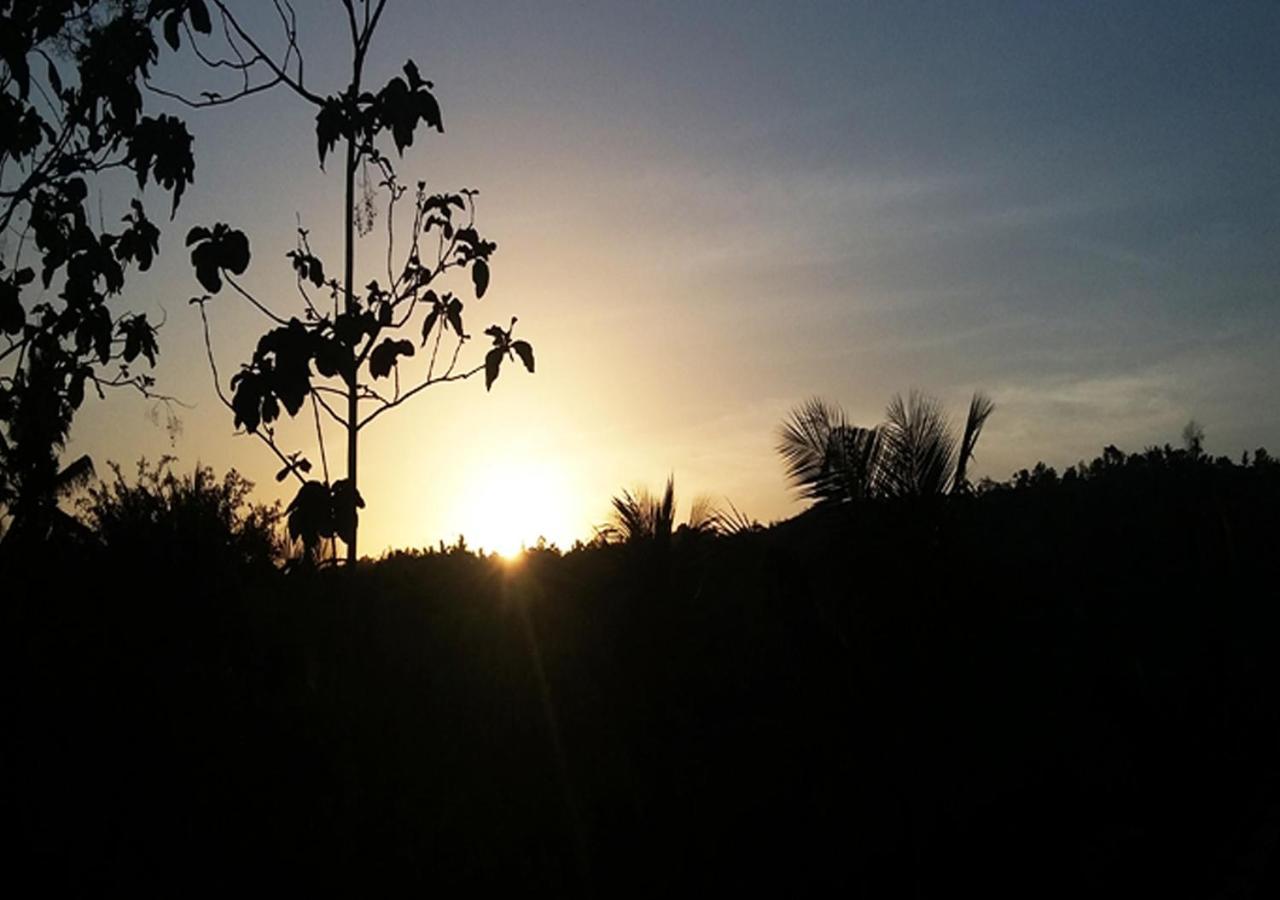 Sebrang Hills Bungalow Ped Buitenkant foto
